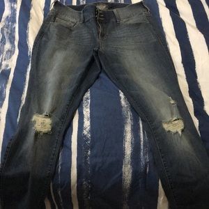 Torrid Premium Jeggings